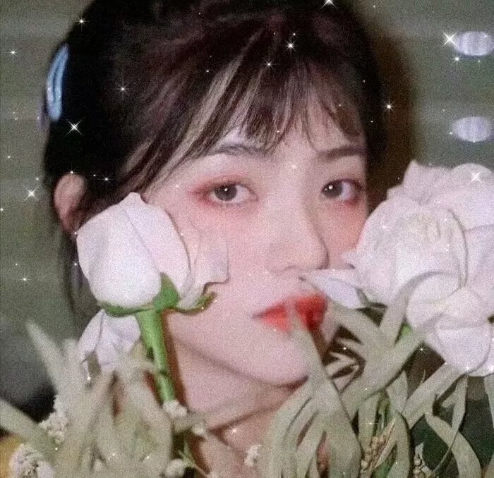 女人40一枝花